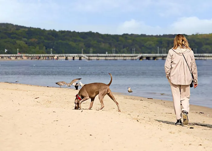 Aqua House فندق مبيت وإفطار 3*